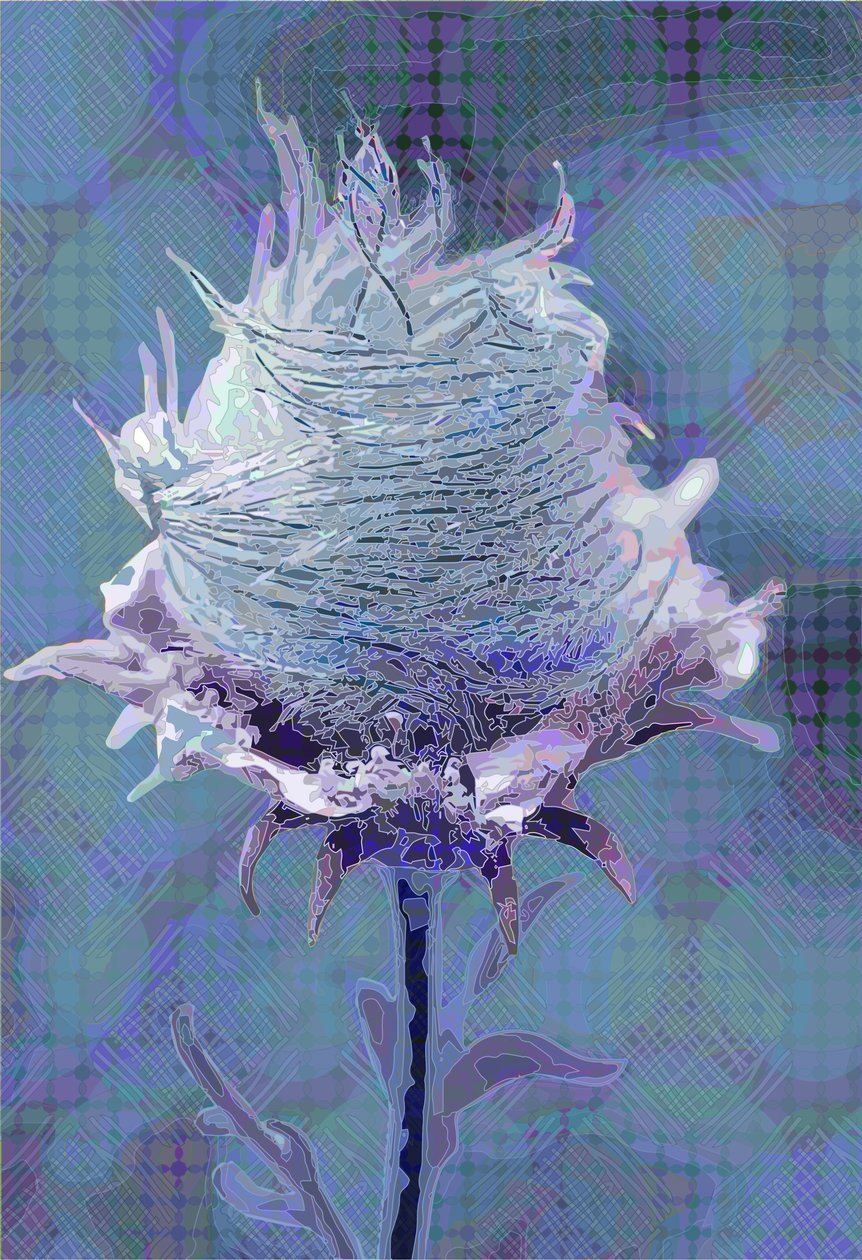 Wood Avens4, 2019 od Scott J. Davis