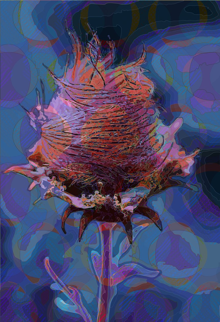Wood Avens, 2019 od Scott J. Davis