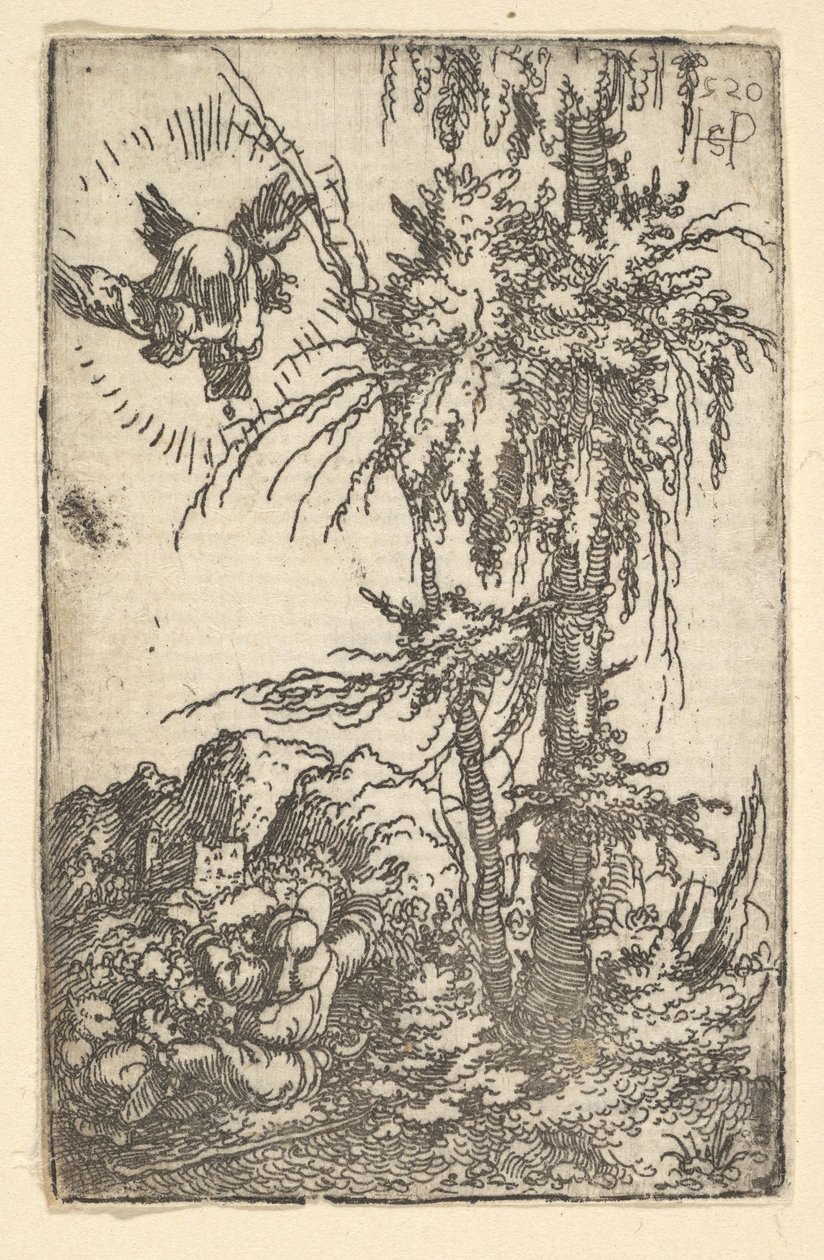 Joachim přijímající příslib Narození Panny, 1520. od Sebald Beham