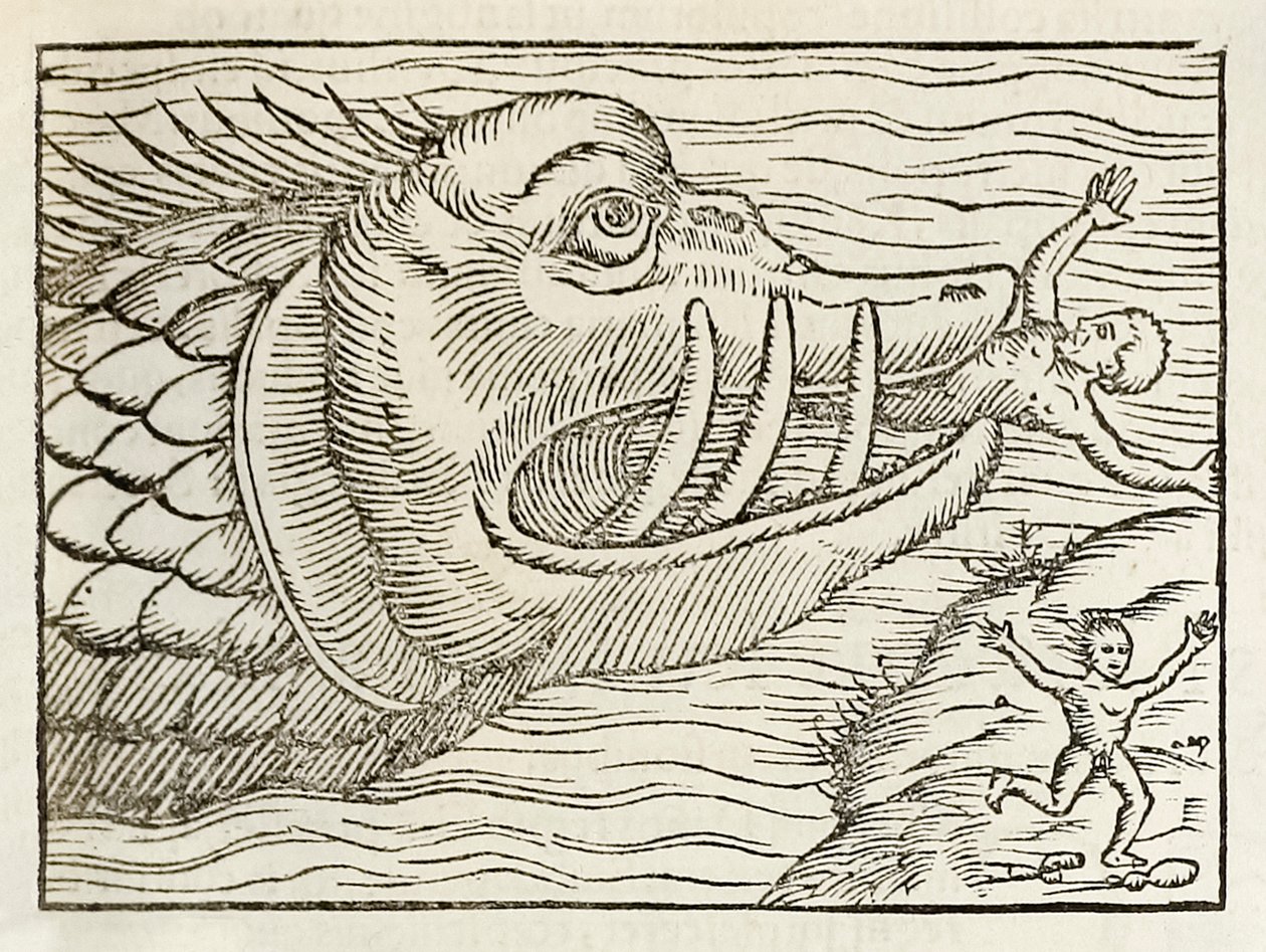 Monstrózní velryba požírající lidi, z roku 1550 vydání Cosmographia od Sebastiana Munstera od Sebastian Munster