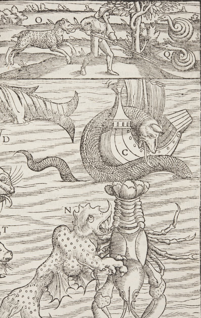 Cosmographia, Fol 853, 1544 od Sebastian Munster