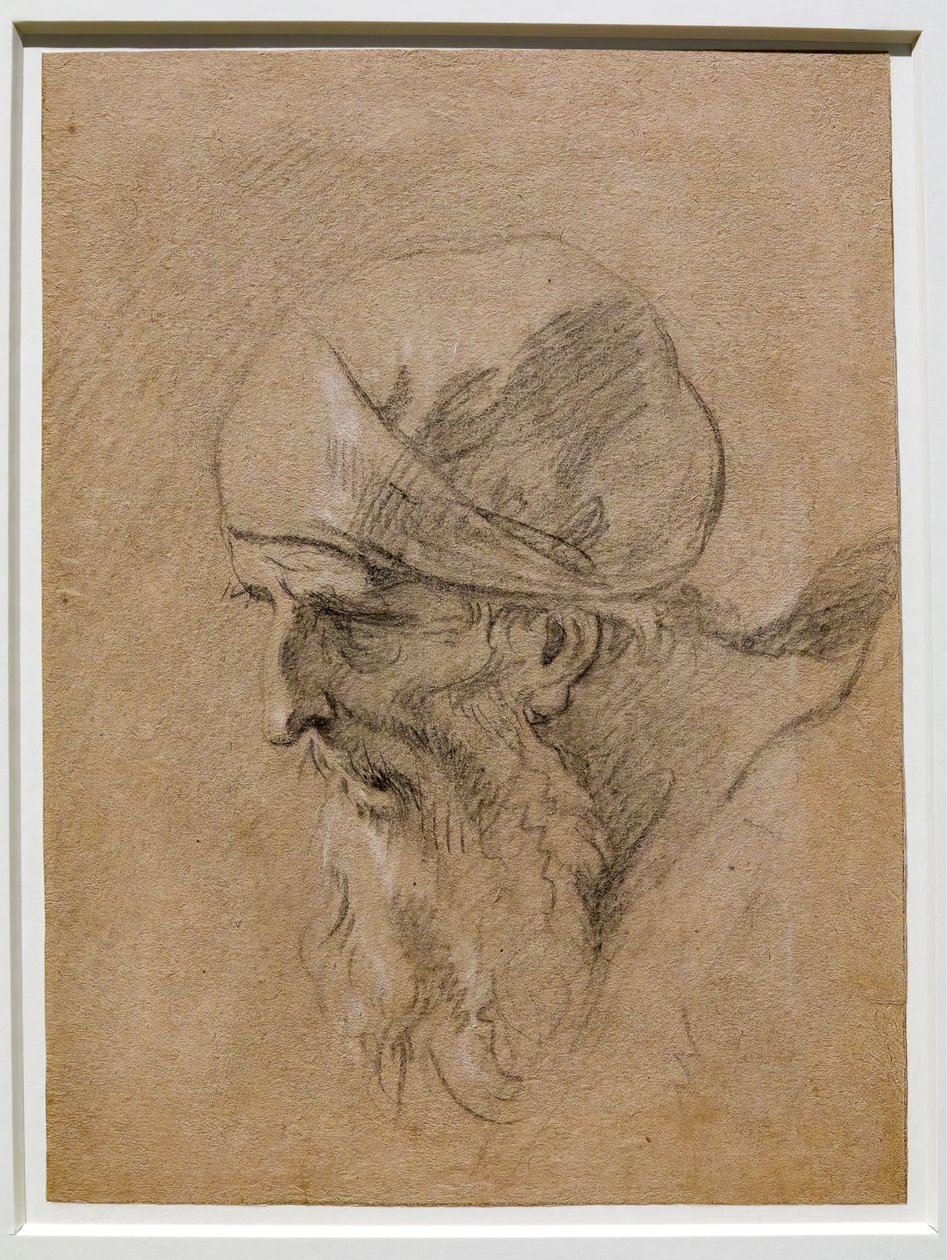 Hlava starého muže od Sebastiano Ricci