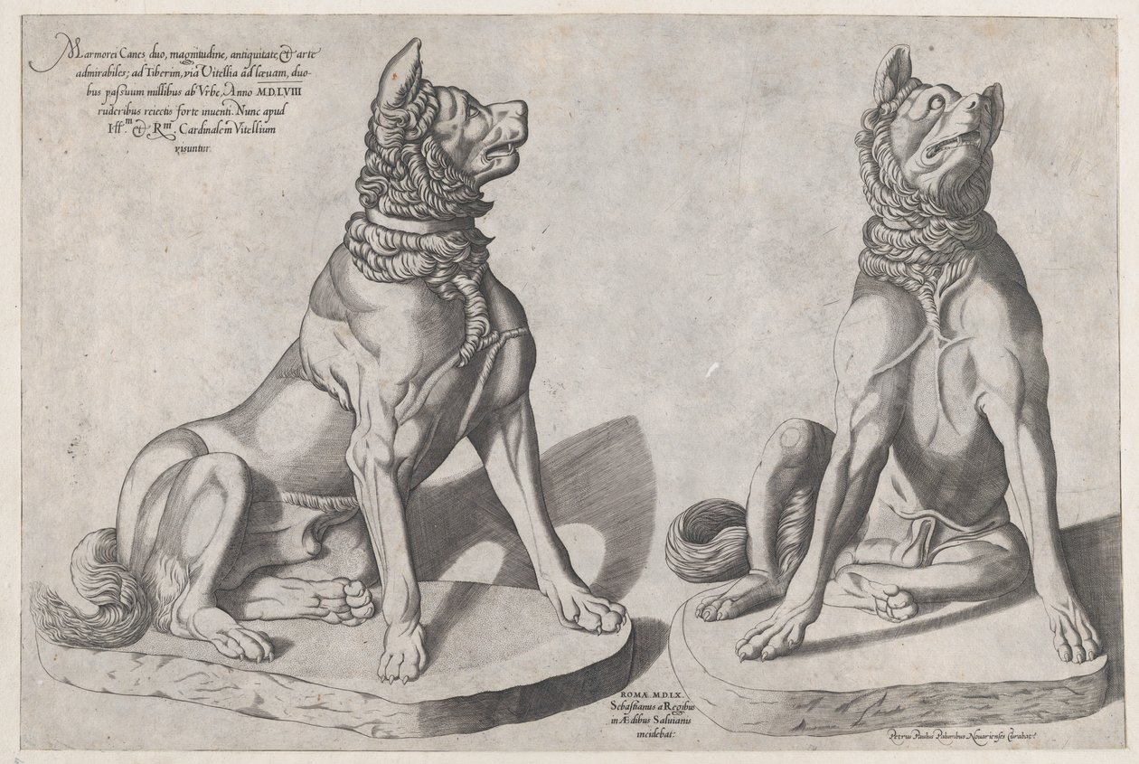 Zrcadlo římské velkoleposti: Dva psi, 1558., 1558. od Sebastiano di Re