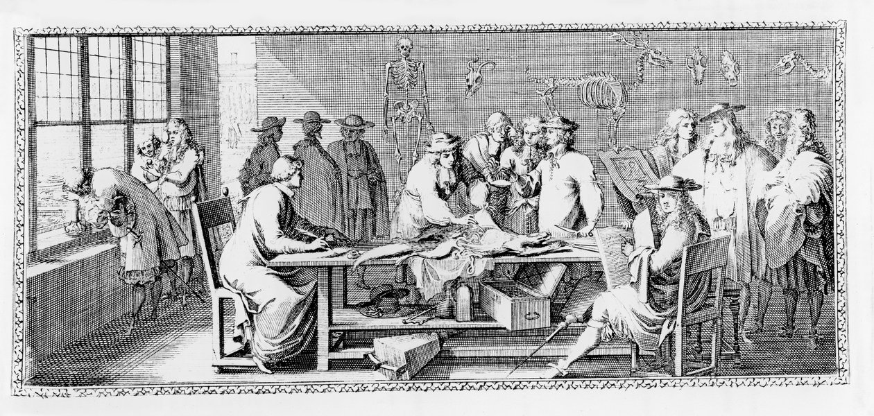 Lekce anatomie, (Pitva v Jardin des Plantes) z 