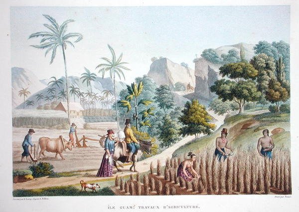 Zemědělští dělníci, Guam, Filipíny, z „Voyage Autour du Monde (1817-20)“ od Louis Claude Desaulses de Freycinet (1779-1842), vyryto Pomelem, vydáno 1822-24 (barevně lito) od Sebastien (d.1832) (after) Leroy