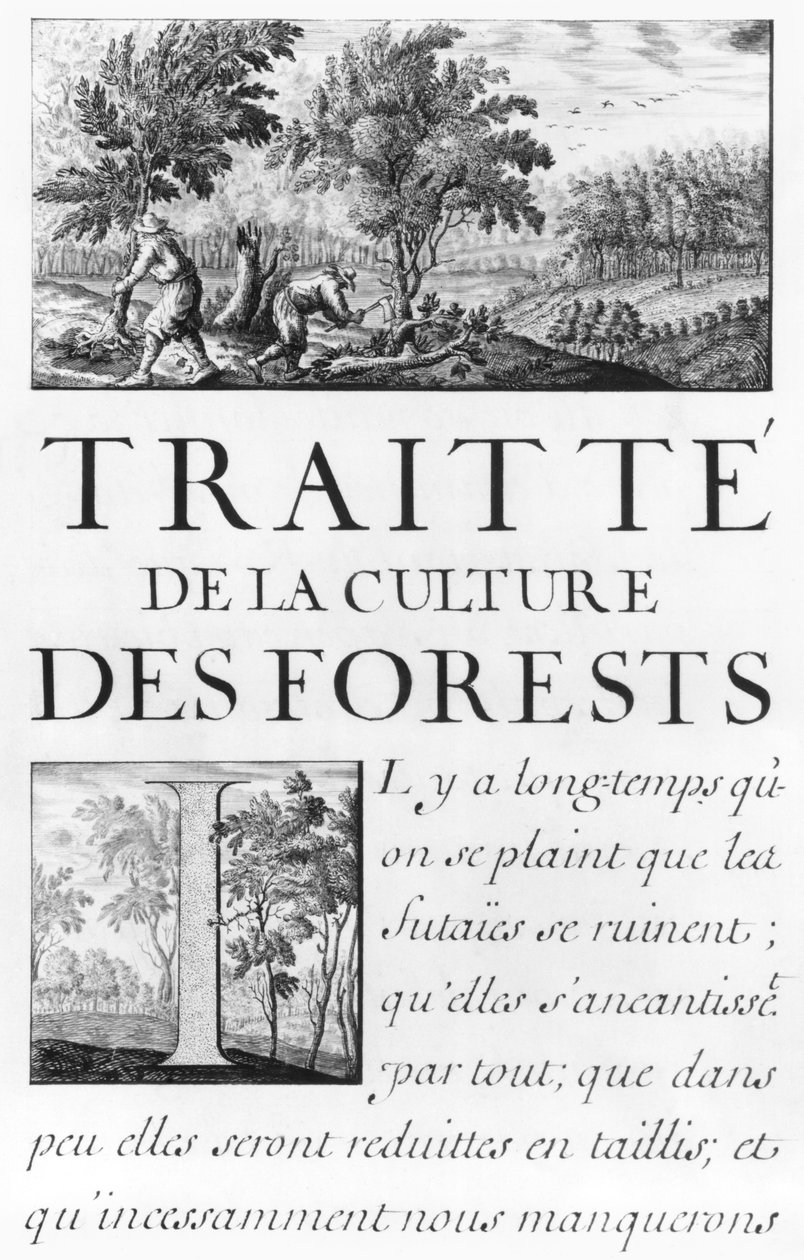 Paní 260 tome IV Frontispis „Traite de la culture des Forets“ z „Oisivetes od M. Vaubana obsahující několik Memoires ou Ramas de sa way“ od Sebastien Le Prestre de Vauban