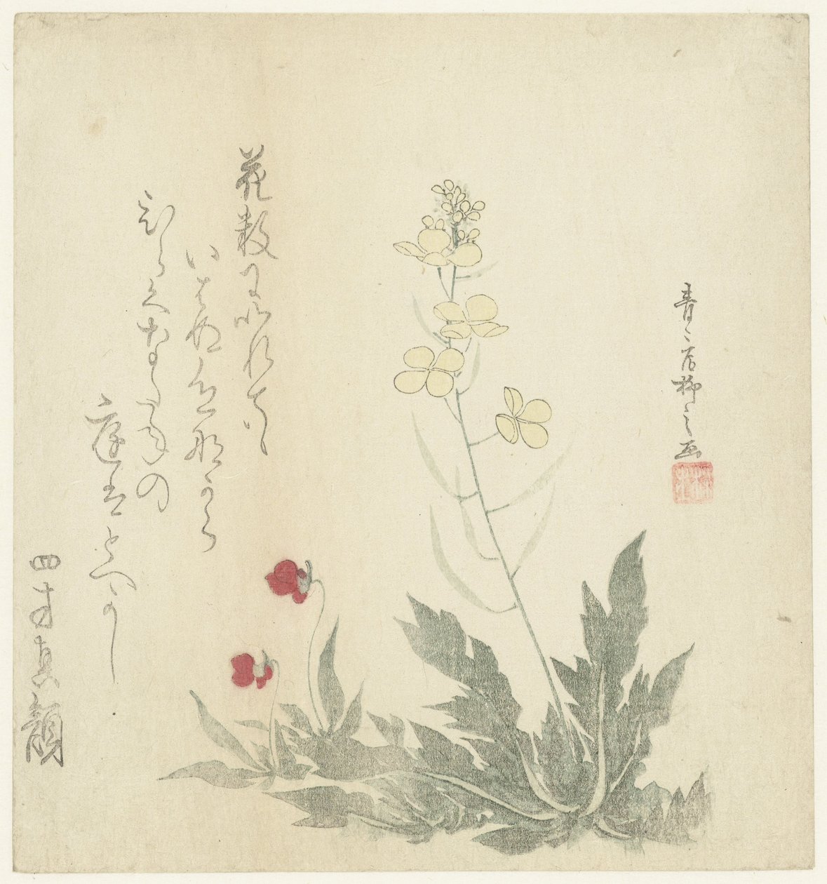 Kvetoucí rostliny od Seiseikyo Ryûshi