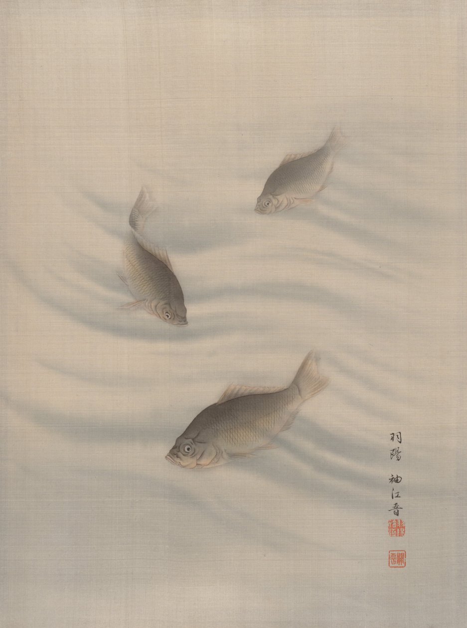 Ryby Plavání, ca. 1890-92. od Seki Shuko