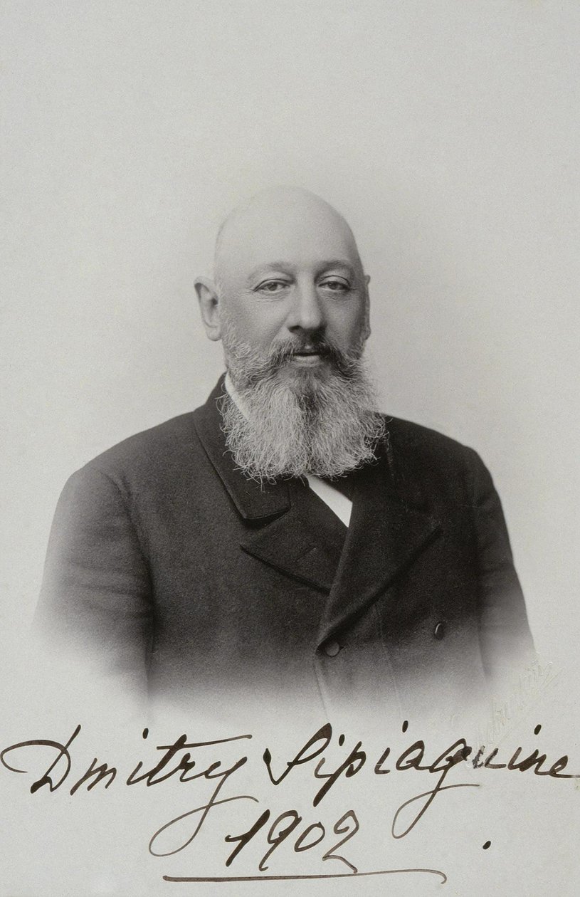 Portrét Dmitrije Sergejeviče Sipyagina 1853-1902, 1902 od Sergei Lvovich Levitsky