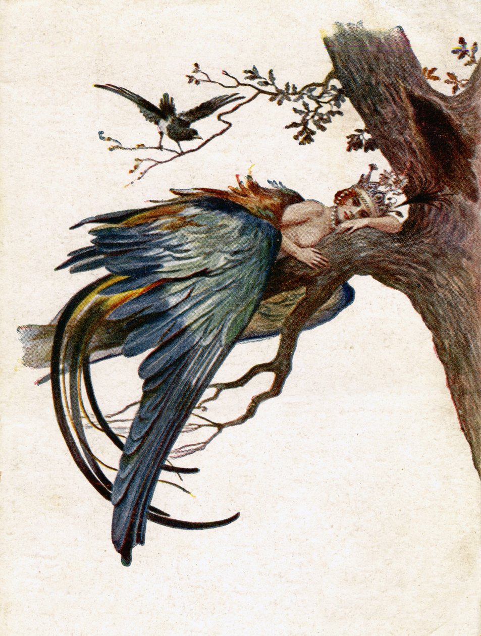 Literatura. Pohádky. Modrý pták. Ilustrace J. Solomko, Česká republika od Sergei Sergeevich Solomko