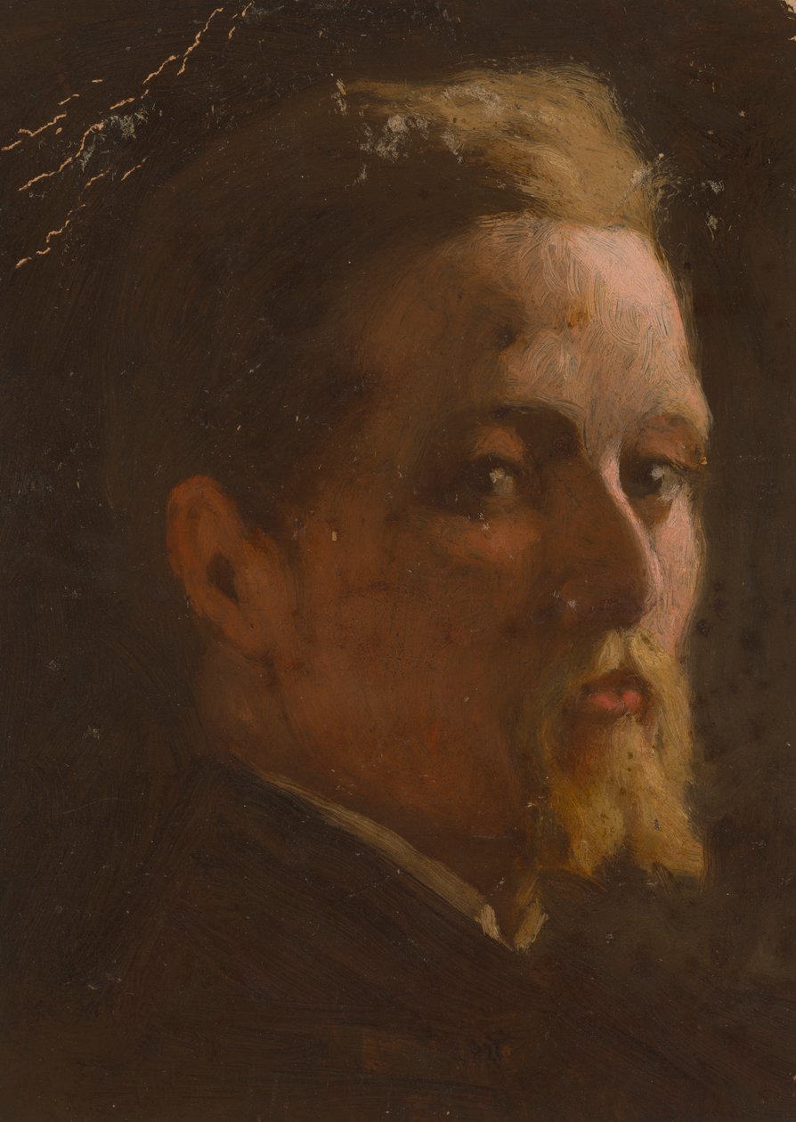 Portrét muže od Severin Falkman