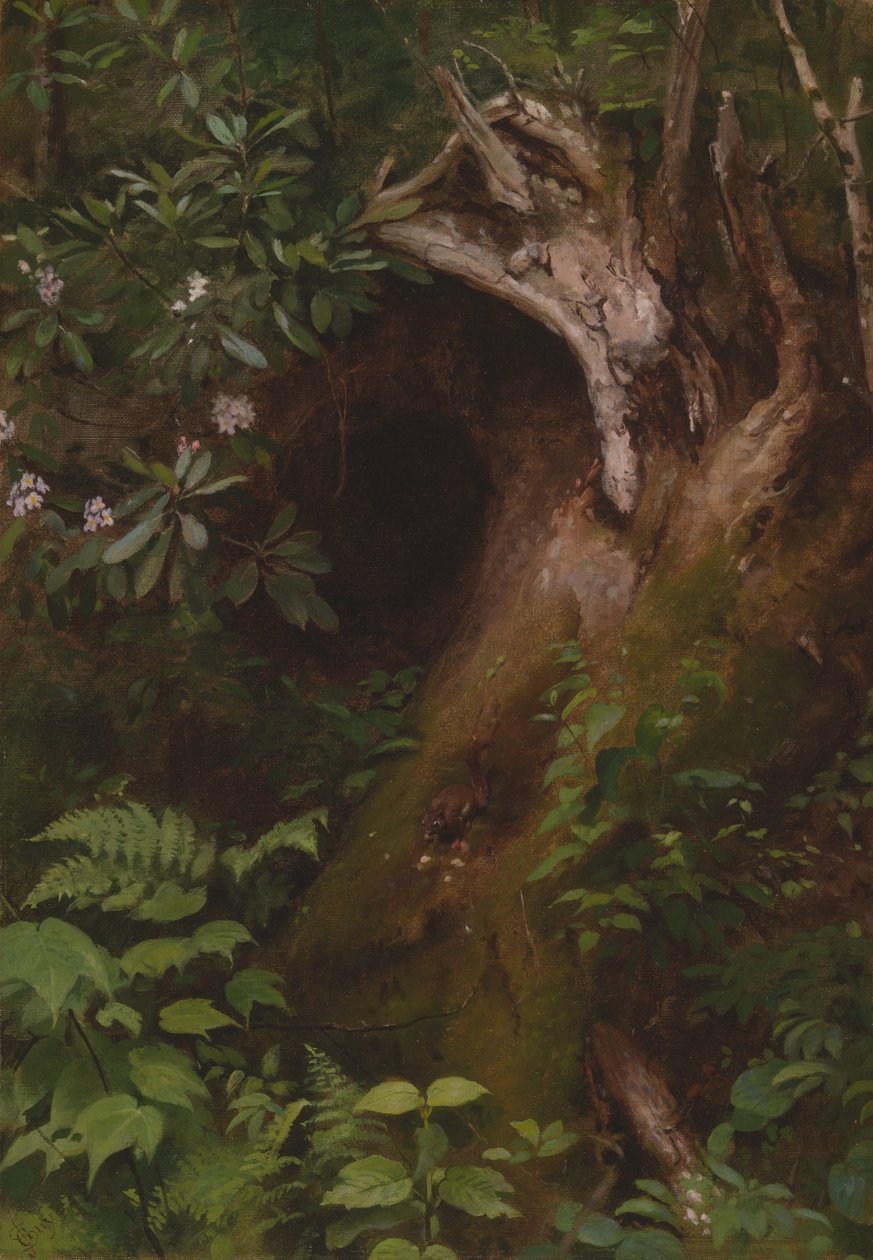 Veverka od Seymour Joseph Guy