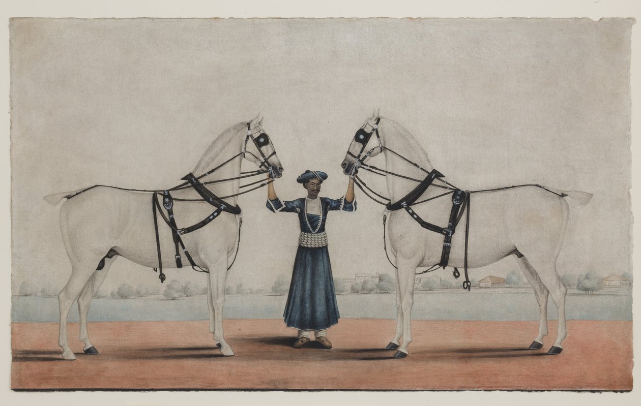 A Syce (ženich) držící dva kočárové koně, kolem roku 1845 (neprůhledný akvarel na papíře) od Shaik Muhammad Amir of Karraya (attr. to)