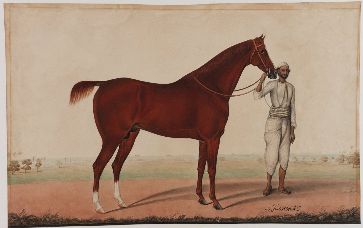 Kůň a čeledín, kolem roku 1840 od Shaik Muhammad Amir of Karraya