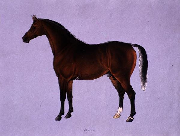 Oppidan, cca 1840 (akvarel na papíře) od Shaik Muhammad Amir of Karraya