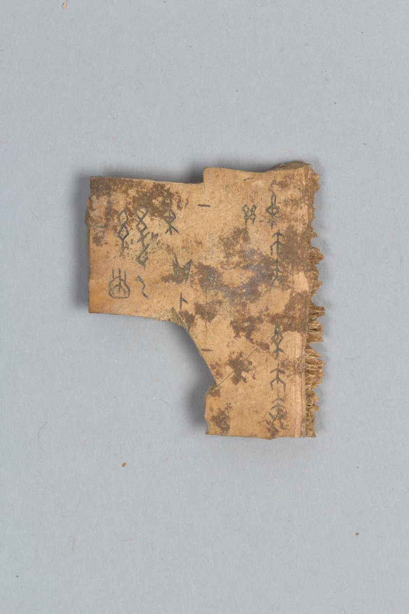 Fragment věštecké kosti (skořápka) od Shang Dynasty Chinese School
