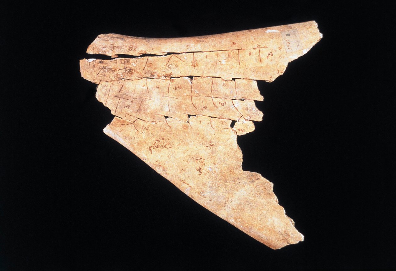 Piktogram na volské lopatce s rituálem k odvrácení nebezpečí (kost) od Shang Dynasty Chinese School