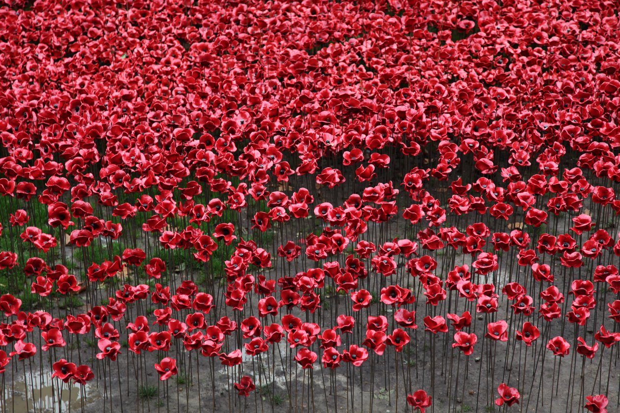 Krvavé země a moře rudé, Tower of London, 2014. od Sheldon Marshall