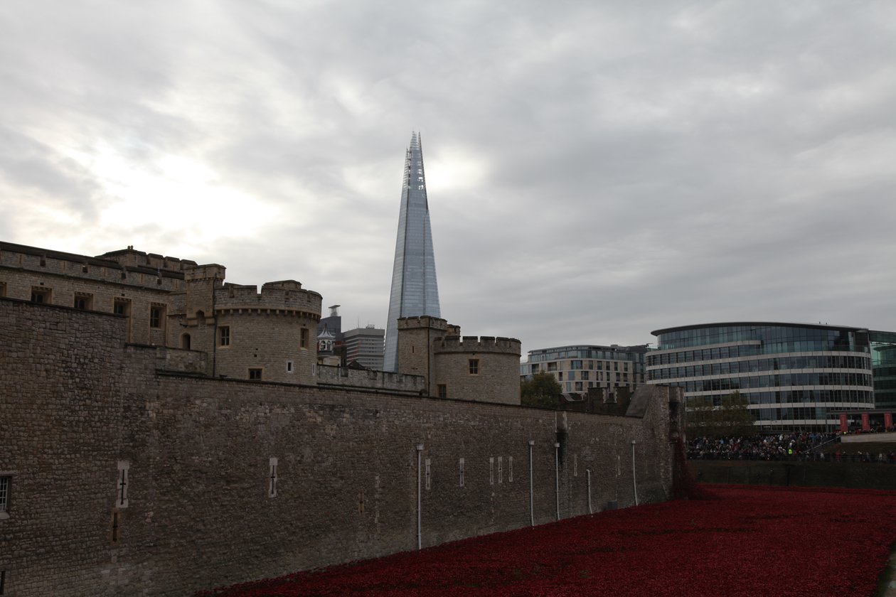 Krvavé země a moře rudé, Tower of London, 2014. od Sheldon Marshall
