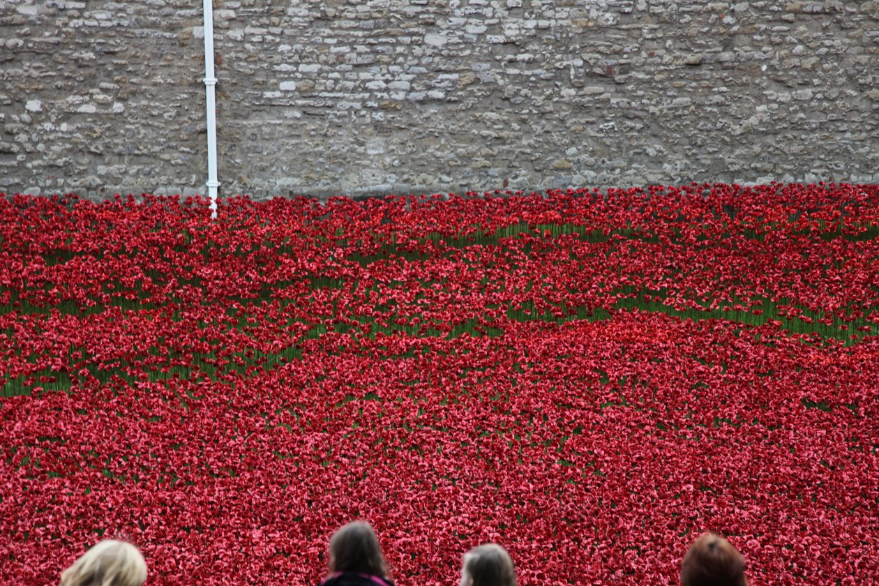 Krvavé země a moře rudé, Tower of London, 2014. od Sheldon Marshall