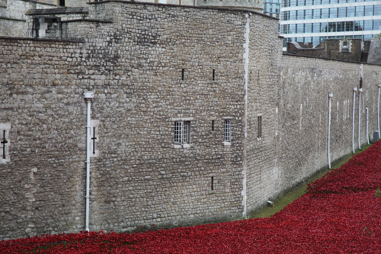 Krvavé země a moře rudé, Tower of London, 2014. od Sheldon Marshall