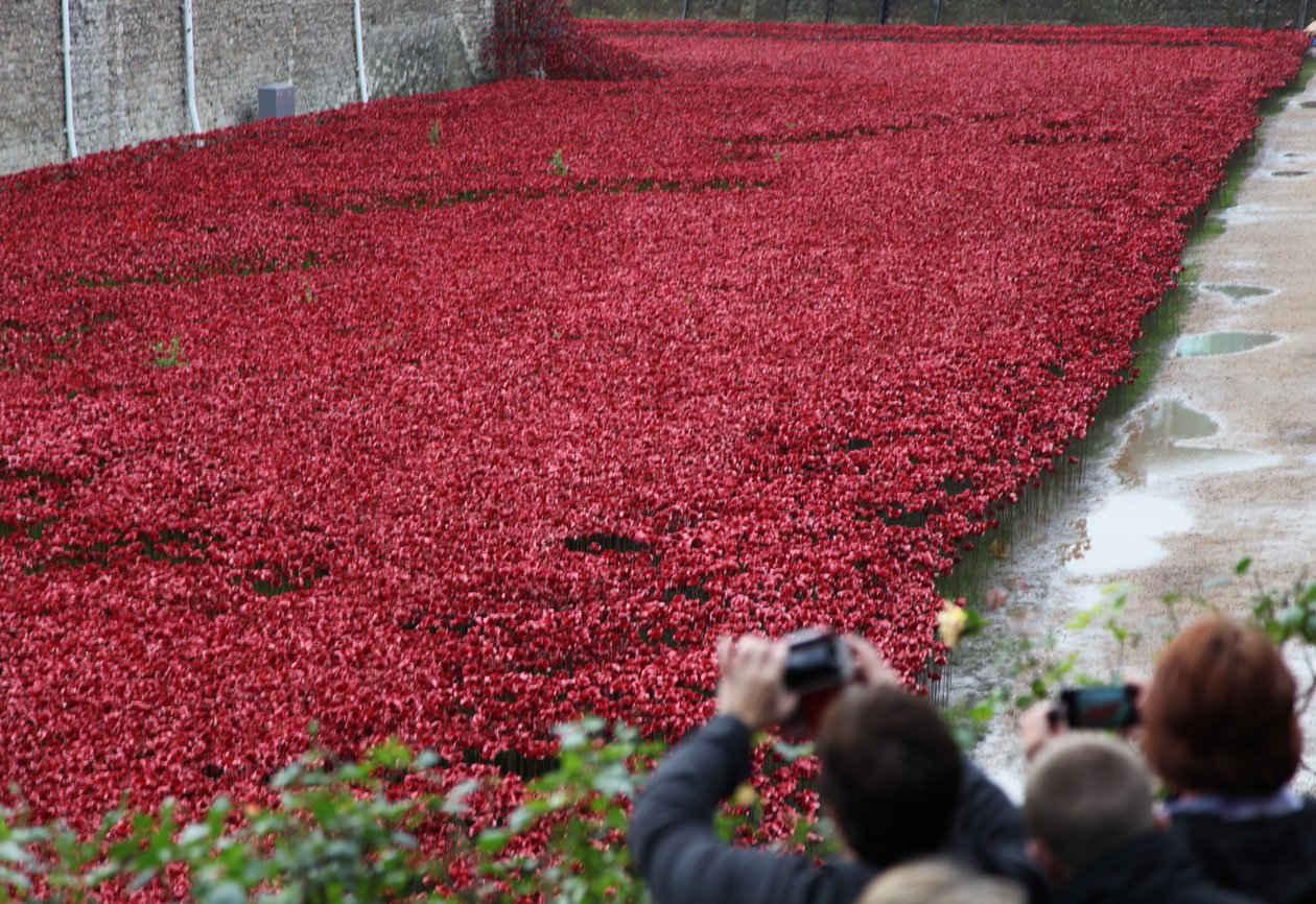 Krvavé země a moře rudé, Tower of London, 2014. od Sheldon Marshall