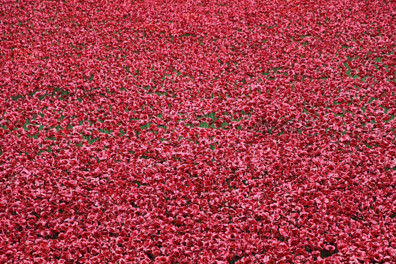 Krvavé země a moře rudé, Tower of London, 2014. od Sheldon Marshall