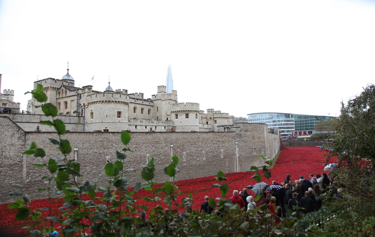 Krvavé země a moře rudé, Tower of London, 2014. od Sheldon Marshall