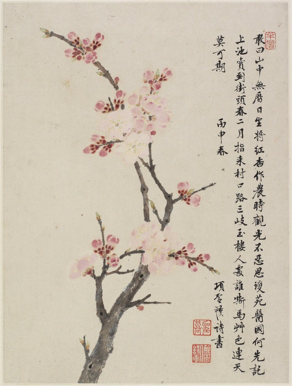 Album of Ten Leaves, 1656 (inkoust a barva na papíře) od Shengmo Xiang