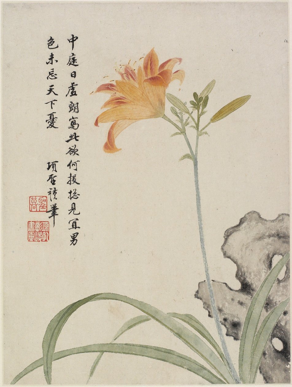 Day-Lily from a Flower Album of Ten Leaves, 1656 (inkoust a barva na papíře) od Shengmo Xiang