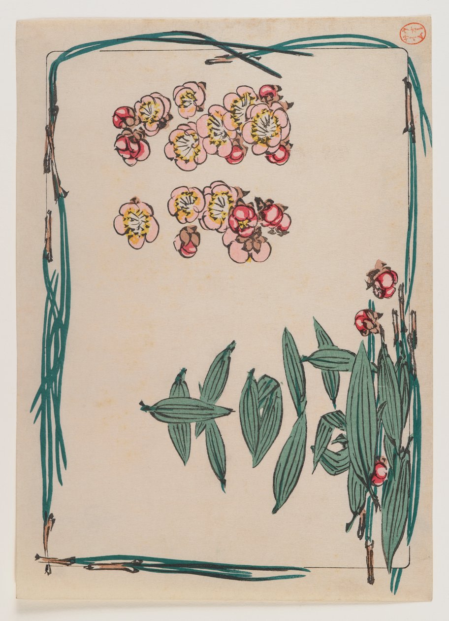 Cherry Blossoms with Pine Needle Border ze série Hana Kurabe, cca 1880 (barevný tisk ze dřeva) od Shibata Zeshin