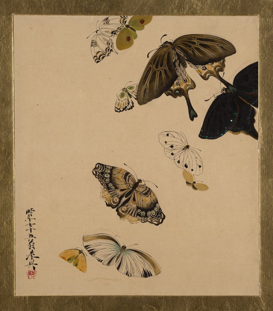 Lakované obrazy různých předmětů: Motýli, z roku 1881. od Shibata Zeshin
