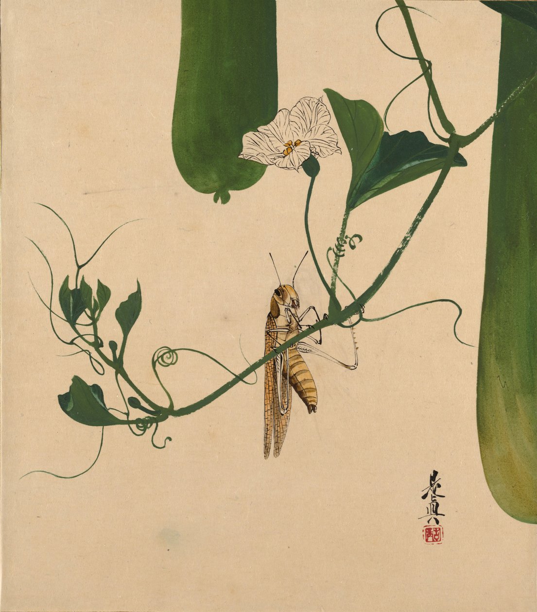 Lakované malby různých předmětů: Kobylka na tykvi, 1882. od Shibata Zeshin