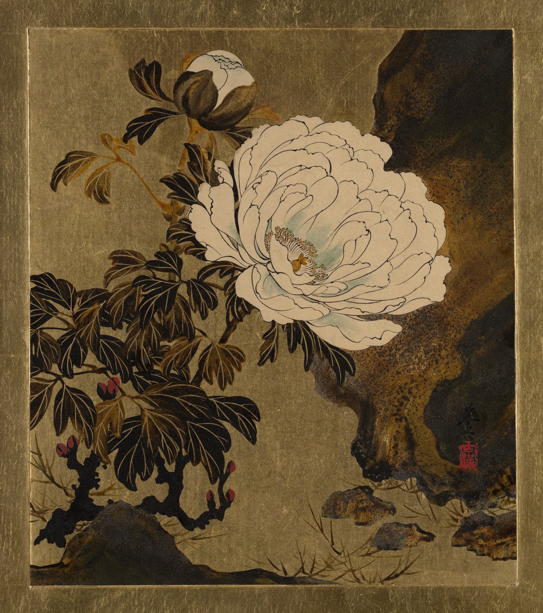 Lakované malby různých předmětů: Pivoňky, 1882. od Shibata Zeshin