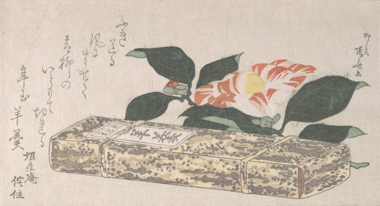 Květ kamélie a Yokan druh fazolového želé zabalené v bambusové kůži, 1811., 1811. od Shinsai