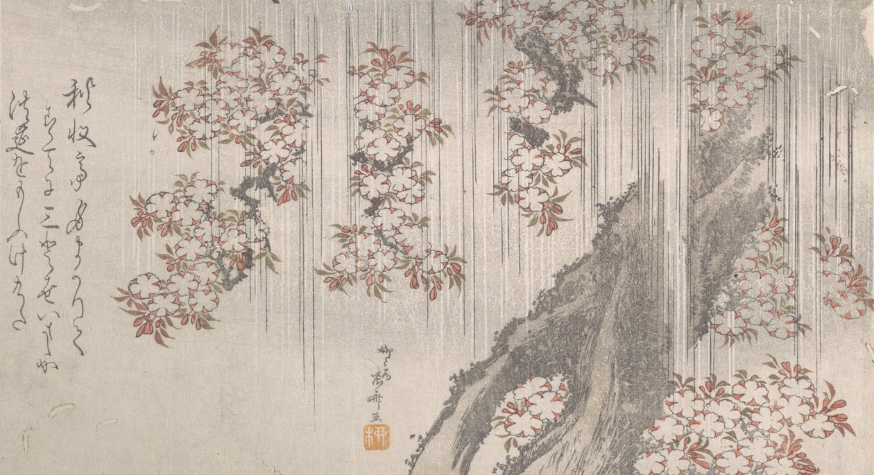 Cherry Blossoms in the Rain, 19. stol., 19. stol. od Shinsai