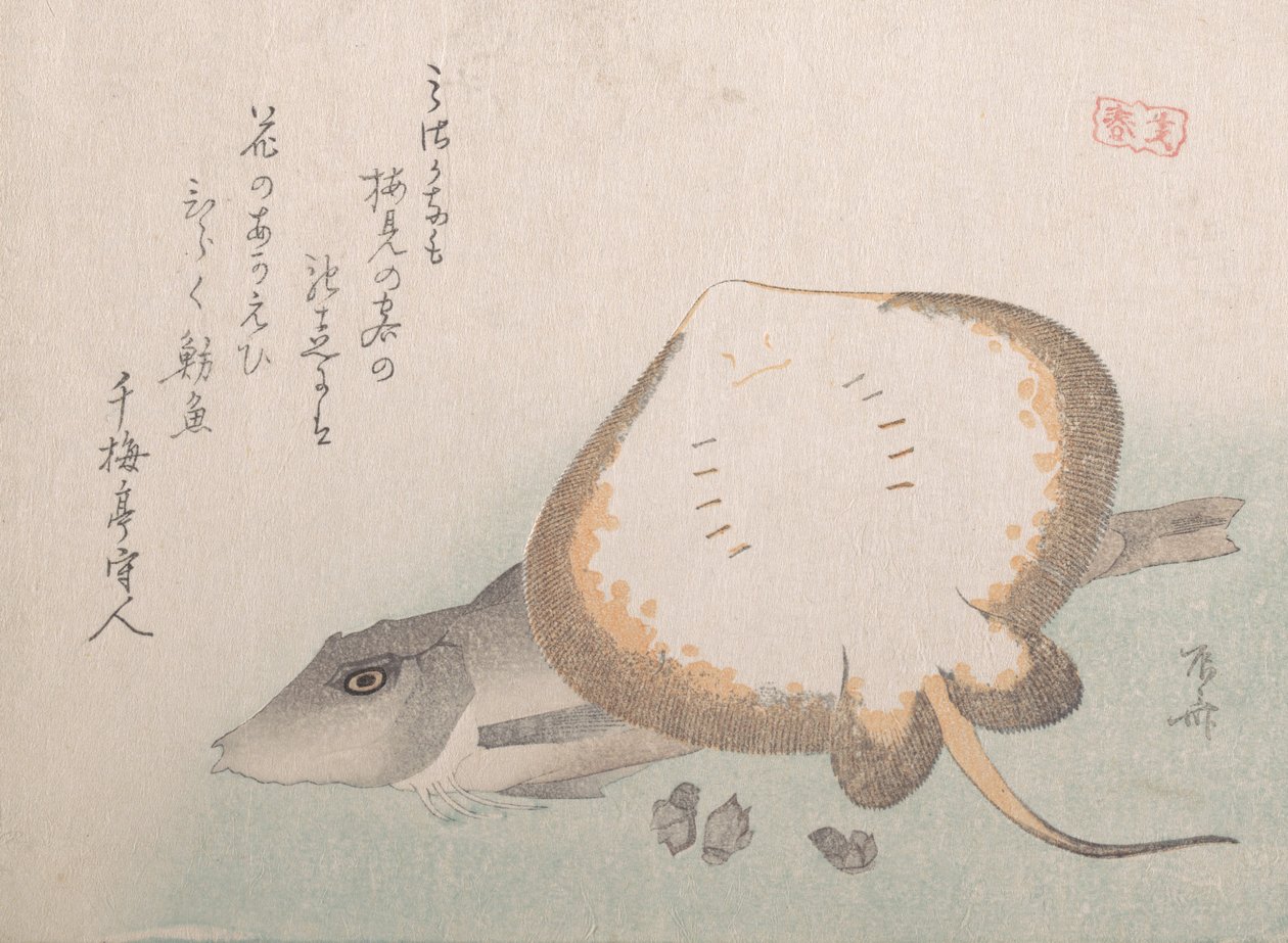 Stingray a Gurnard, pravděpodobně 1815., pravděpodobně 1815. od Shinsai