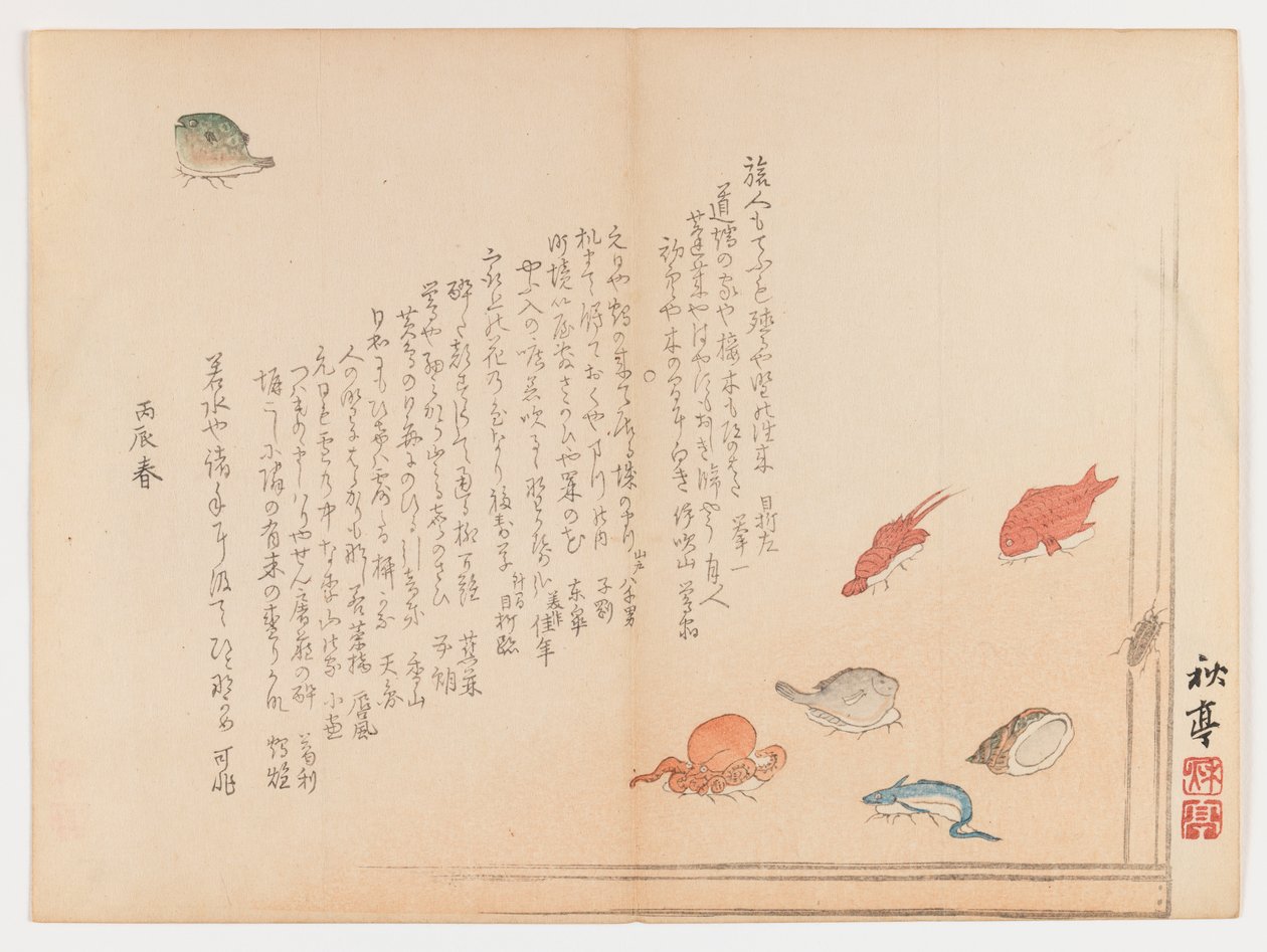 Různé ryby, jaro 1855 (dřevotisk, formát Chûban yoko-e) od Shûtei Tanaka