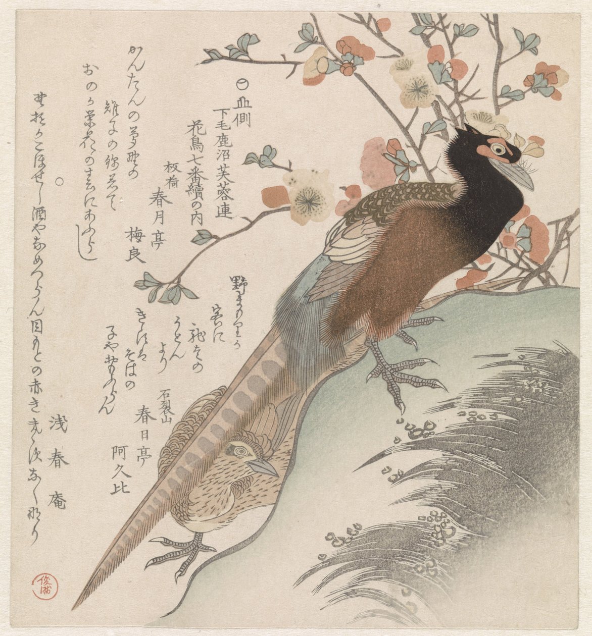 Bažanti na větev květu Sedm obrázků ptáků a květin pro Fuyôren Poetry Society of Kanuma z provincie Shimotsuke (název série) Yamagawa Shimotsuke Kanuma Fuyôren kachô shichiban tsuzuki no uchi (název série na objektu) od Shunman