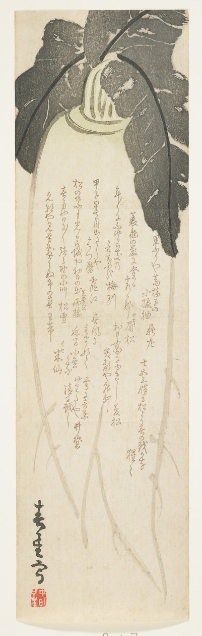 Daikon ředkev, leden 1864 (barevný dřevořez) od Shunsei
