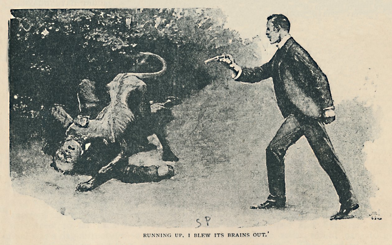 Běží nahoru. Vyhodil jsem mu mozek, 1892 od Sidney Paget