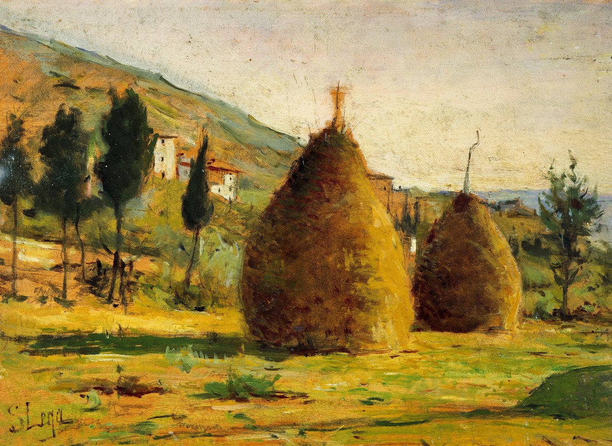Stohy sena na slunci od Silvestro Lega