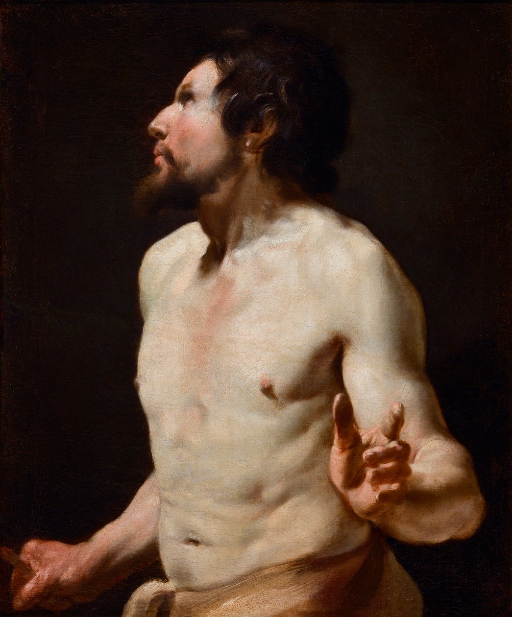 Studie malby torza ze školy Simona Voueta (1590-1649) (malba) od Simon (circle of) Vouet