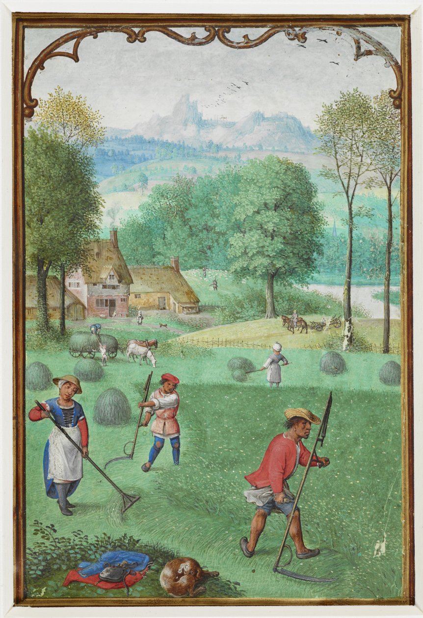 Přidat MS 18855 f.109v Červenec: sklizeň, setí, z knihy hodin, c.1540 (vellum) od Simon Bening