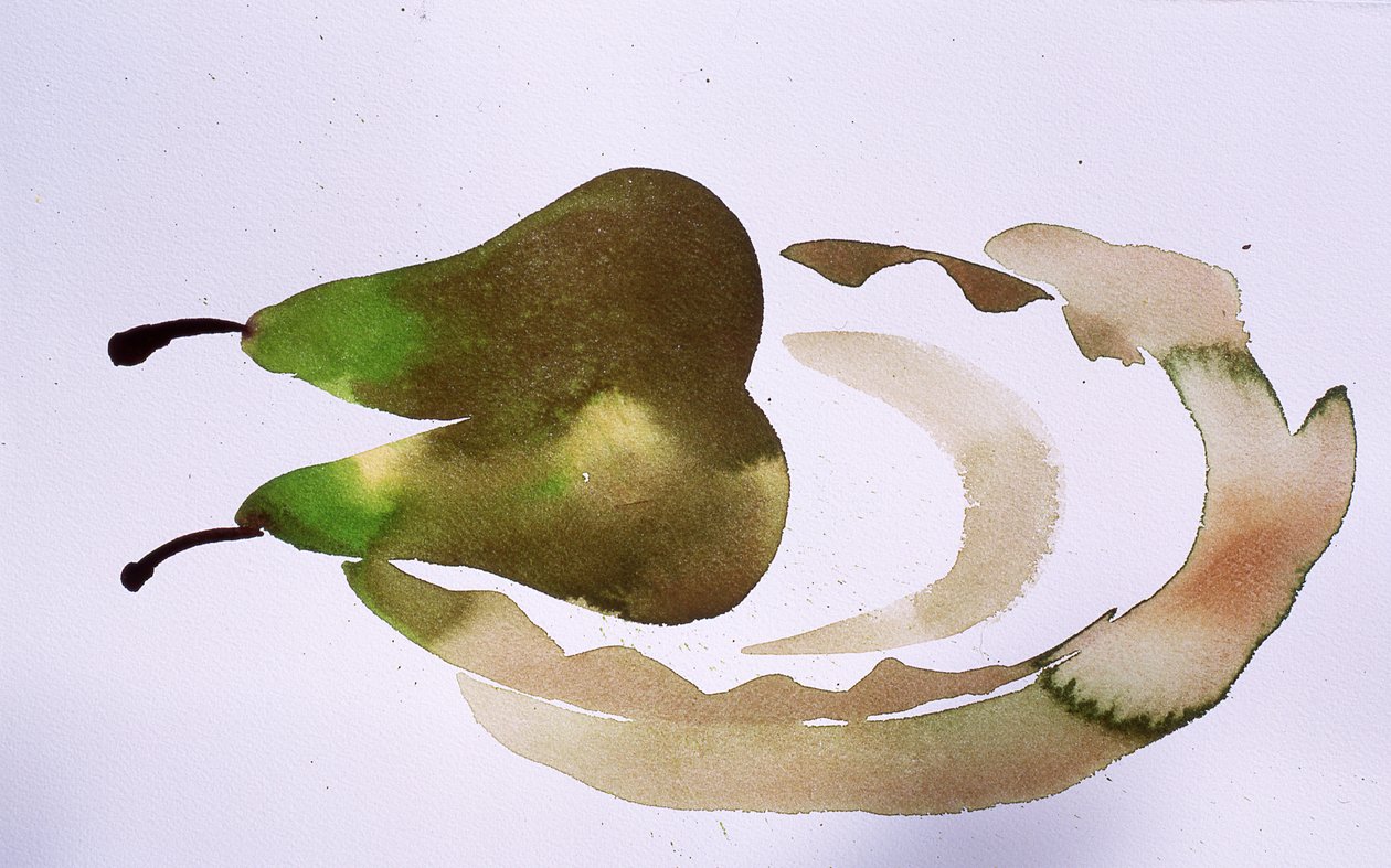 Dvě hrušky na talíři, 2010 (akvarel) od Simon Fletcher