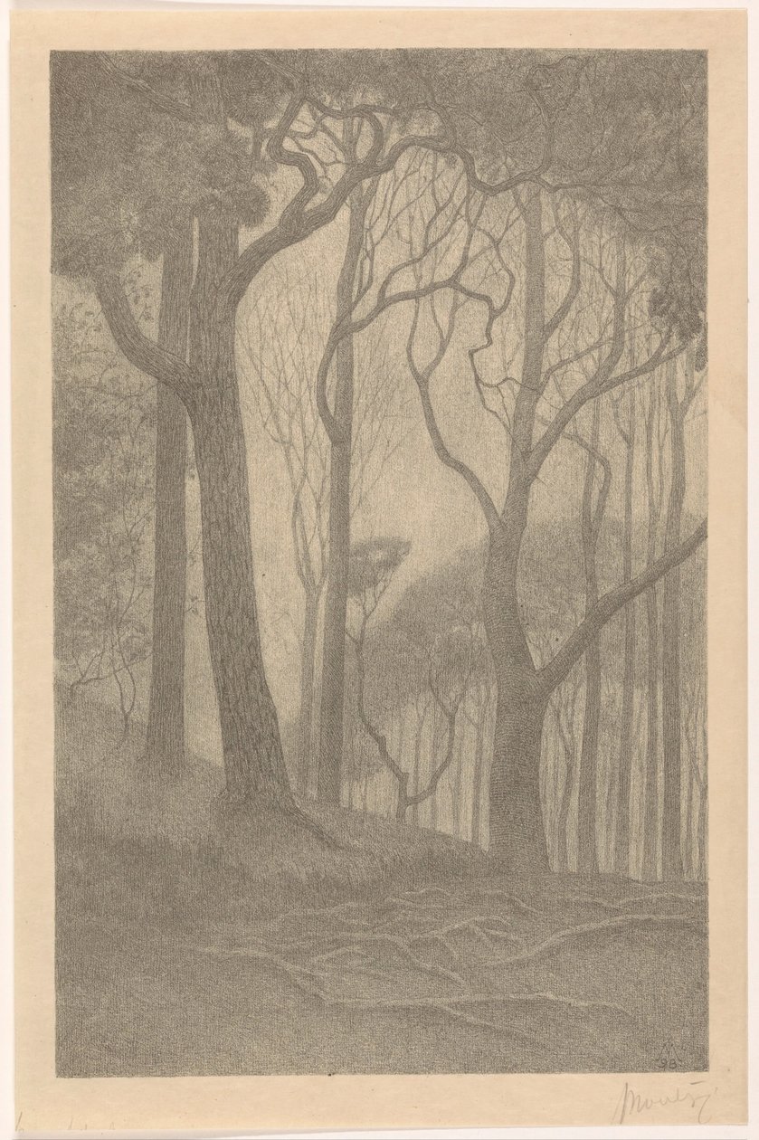 Bomen (původní název) od Simon Moulijn (signed by artist)