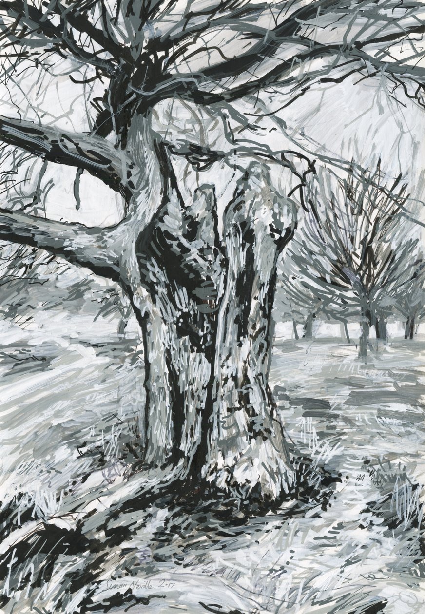Starý strom, Richmond Park (akrylová barva a tuš na papíře) od Simon Neville