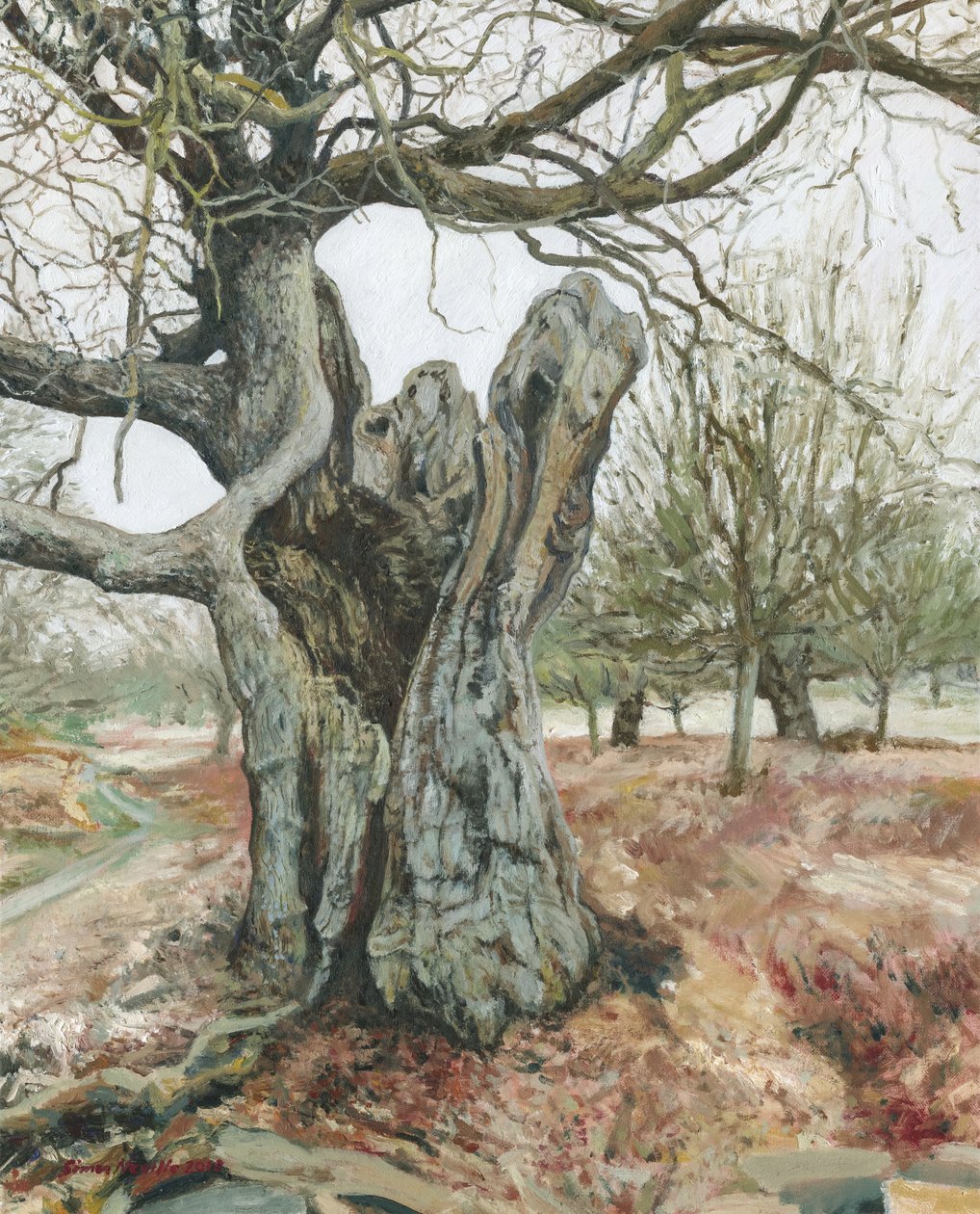 Starý strom, Richmond Park, 2018 (olej na plátně) od Simon Neville