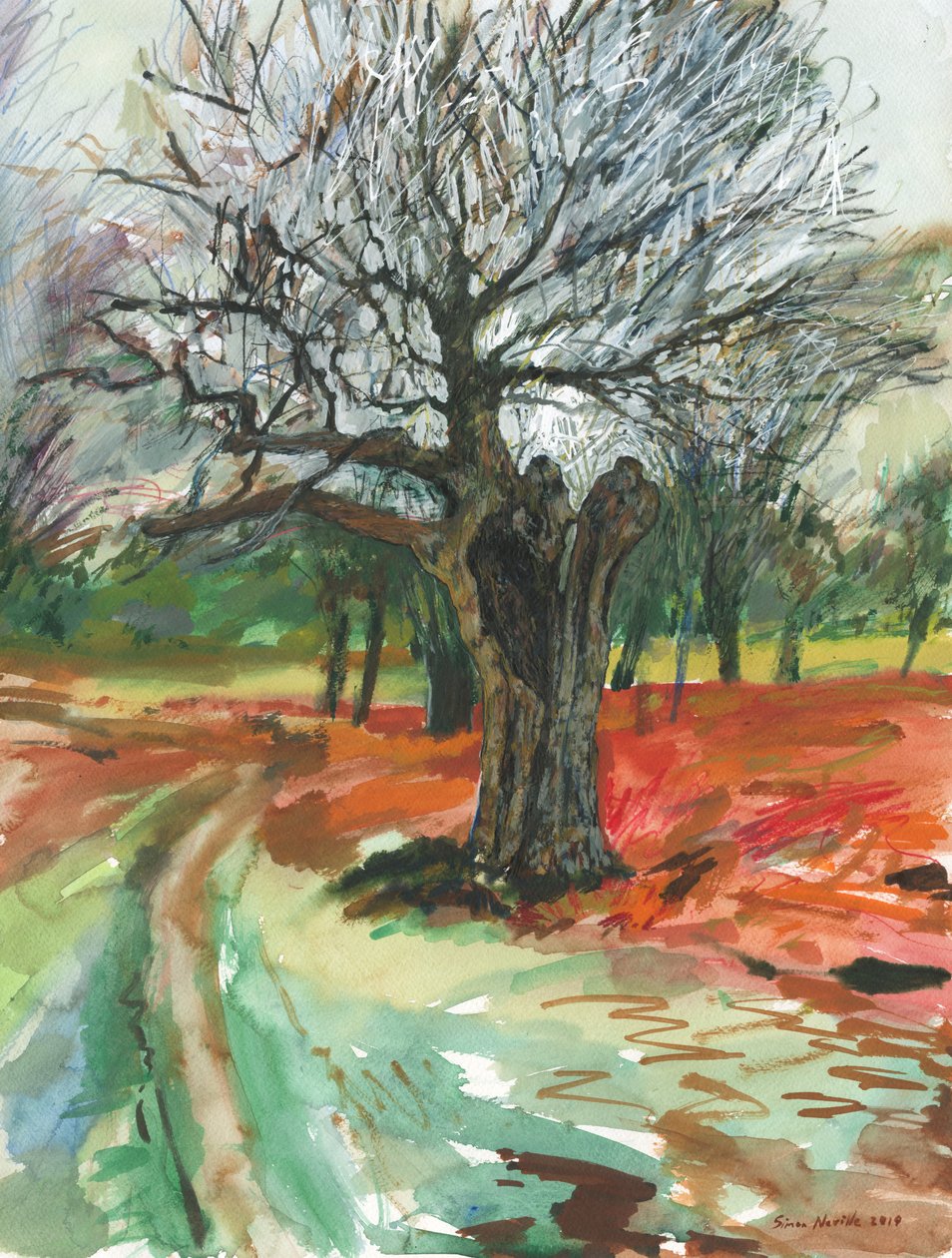 Starý strom, Richmond Park, 2019 (akvarelová tužka a akrylová barva na papíře) od Simon Neville