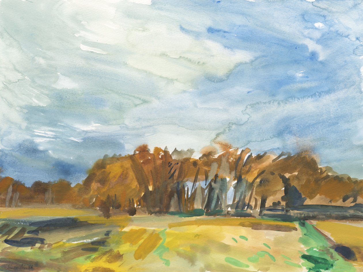 Richmond Park, 2018 (akvarel na papíře) od Simon Neville